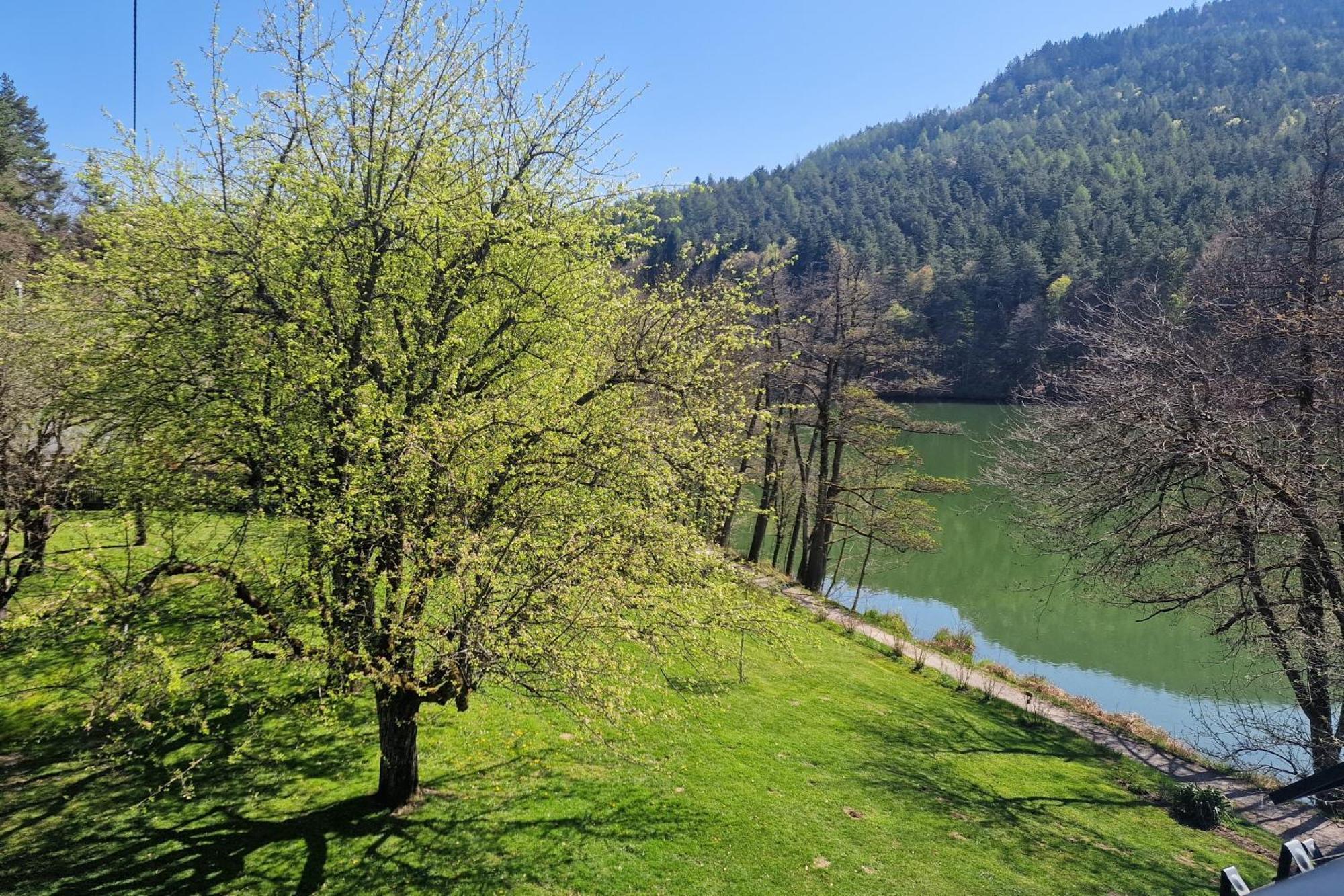 שיפלינג אם סי Landgasthof Trattnig חדר תמונה